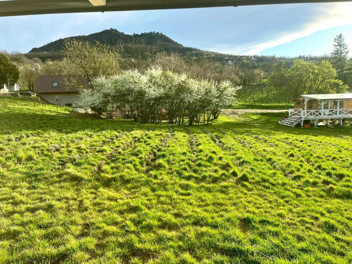 Bohemian Eco Lodge Kisapati 外观 照片